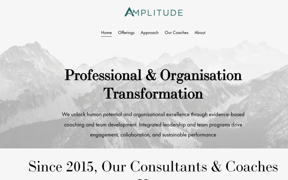 Amplitude Consulting website homepage, 4 Oct 2026